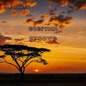 Eternal Groove by Dj Szu