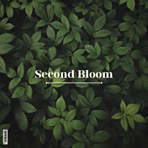 Second Bloom