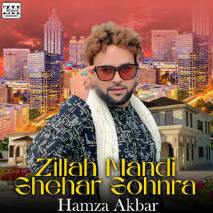 Hamza Akbar - Zillah Mandi Shehar Sohnra
