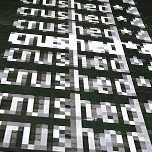 crushed*4