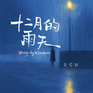 十二月的雨天 by 吴岱林