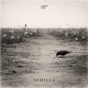SEMILLA by Albert Vico