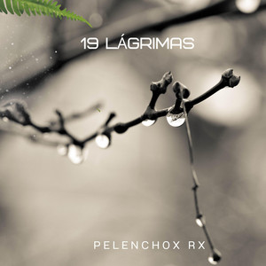 19 Lágrimas by Pelenchon Rx