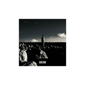 Dillon Tiger - Seasons in the Sun