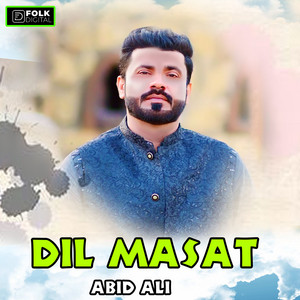abid ali - Dil Masat