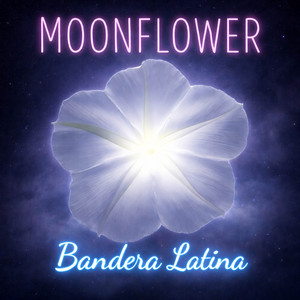 Moonflower by Bandera Latina, Salvatore Giuseppe Sichi