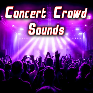 Sound Ideas - Crowd Applauding in a Large Concert Hall 1