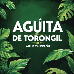 Willie Calderon artist photo