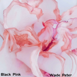 Rebirth by Wade Peter