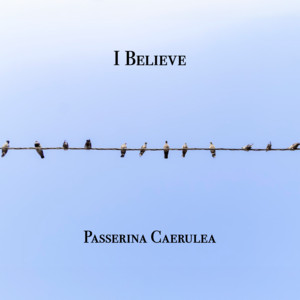 I Believe by Passerina Caerulea