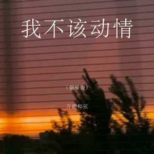 我不该动情 - DJ河马版 by 万能和弦