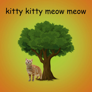 Kitty Kitty Meow Meow