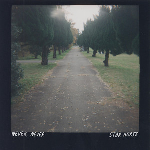 Never, never by Star Horse
