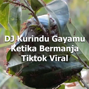 bang joko eskade - DJ I Miss Your Style When You're Pampered Tiktok Viral
