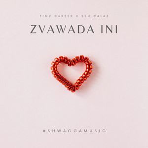 Zvawada Ini