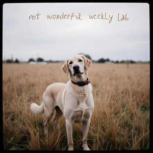 not wonderful (26-39) by Weekly Lab