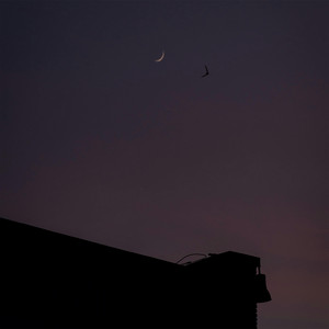 stay a little longer by Gyûki, Mike Beating