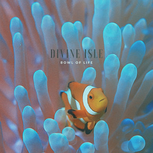 Bowl of Life by Divine Isle