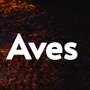 Aves by Poooterut