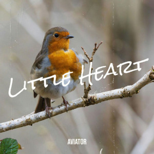 Little Heart
