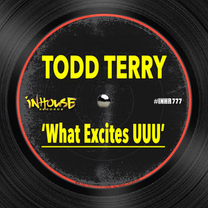 What Excites UUU - Extended Mix by Todd Terry cover art