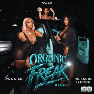 Organic Freak (Alternate Mix) by Pookiee, SWAE, Pressure tycoon
