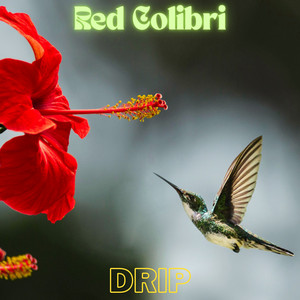 Wagering by Red Colibri
