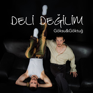 Deli Değilim
