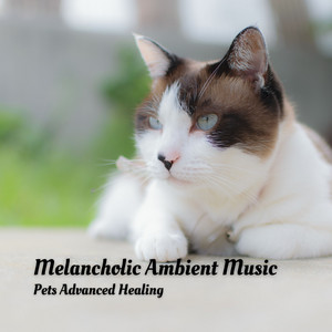 Melancholic Ambient Music: Pets Advanced Healing album
