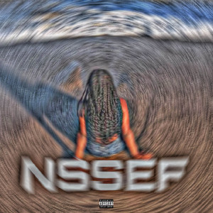 Y43 - N.S.S.E.F