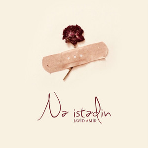 Nə İstədin by Javid Amir