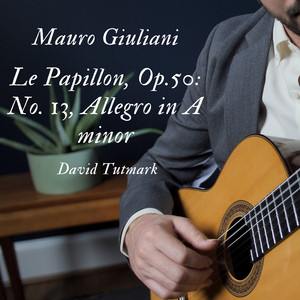 Giuliani: Complete Guitar Concertos - Compilation by Mauro