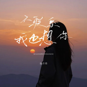 不联系我也想你 (DJEva版伴奏)