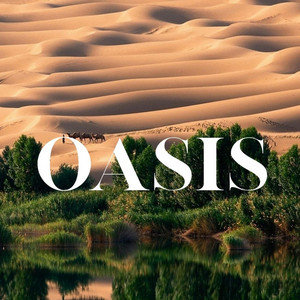 Oasis by DariqueProd