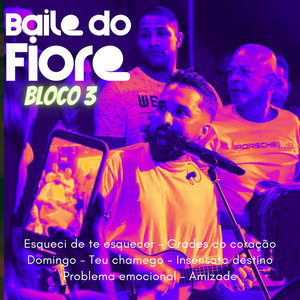 Baile do Fiore: Esqueci de Te Esquecer / Grades do Coração / Domingo / Teu Chamego / Insensato Destino / Problema Emocional / Amizade (Bloco 3) - Ao Vivo