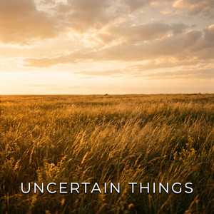 UNCERTAIN THINGS by Lady Vanci