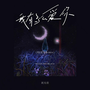 我有多么爱你 - DJ沈乐Remix by 刘大壮