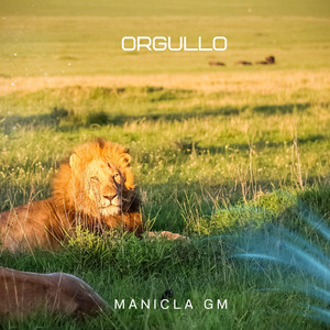 Orgullo by Manicla Gm