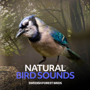 Natural Bird Sounds album