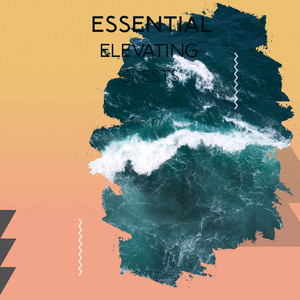 zZz Essential Elevating Crests zZz album