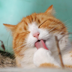 dj kampung - Huwaaa Gemoy