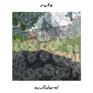 Rats