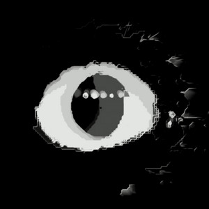 We Don't See Eye to Eye