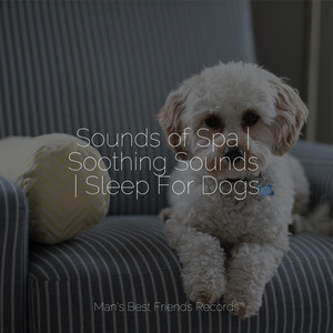 Sounds of Spa | Soothing Sounds | Sleep For Dogs album