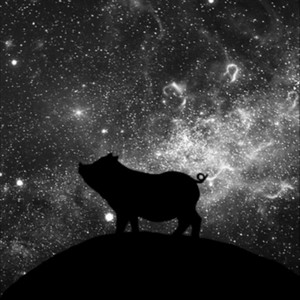 Astro Ham
