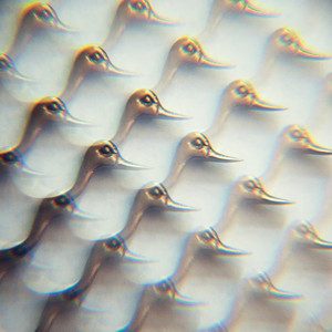Portada de Silver Soarde