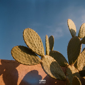 Nothing Moves at Noon by Hora Azul