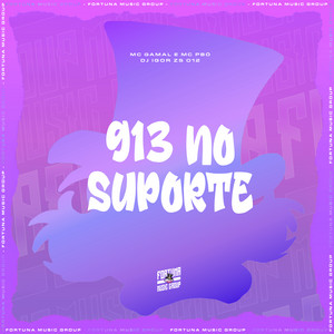 913 no Suporte