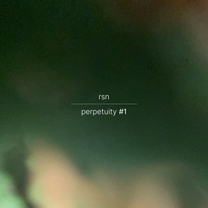 album cover: perpetuity #1