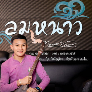 ทองเบส ทับถนน - บรรเลงพิณ ลายลมหนาว
